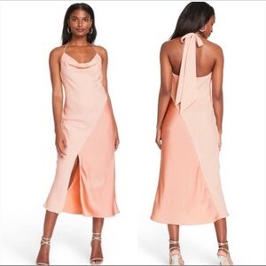 NWT!!  CUSHNIE Blush Pink Midi Slip Dress Size 6